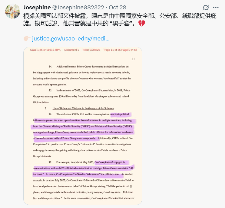 有說法認為中國政府庇護了陳志與太子集團。   圖：翻攝自 X《Josephine》