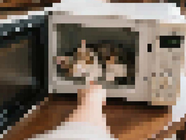 貓咪疑似被飼主放進微波爐不當對待，警方初步研判為經變造的AI內容。   圖：白喬茵辦公室提供