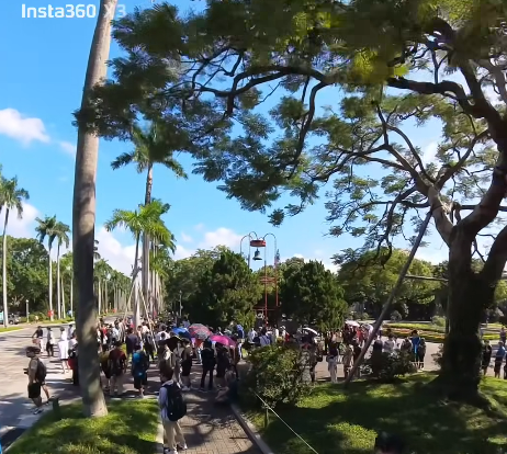 500人排隊等台大生發雞排撲空，李忠憲批年輕人「輕信、無批判、跟風」心態讓柯、黃、館得以坐大。   圖：翻攝自加帕利天藍怪預警中心