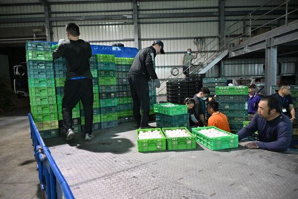 彰化縣文雅畜牧場雞蛋芬普尼代謝物超標，下游龍忠蛋行負責人20萬元交保。   圖：彰化縣政府提供