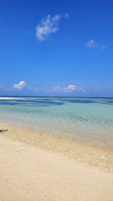 另外一名網友則分享自己在石垣市竹富島拍攝的照片，宣稱現在石垣島已經看不到中國旅客，只有日本遊客跟少數歐美國家的自由行旅客在當地遊玩。   圖：翻攝自 @arigato_violet X 帳號