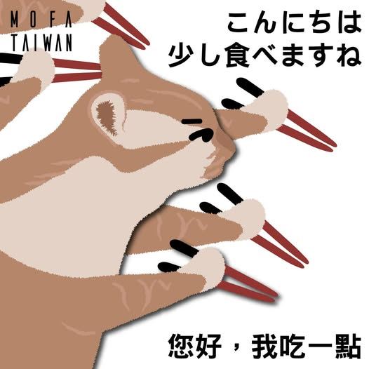 外交部貓咪迷因圖挺日水產，獲台日百萬網友按讚。   圖：翻攝外交部X（前推特）