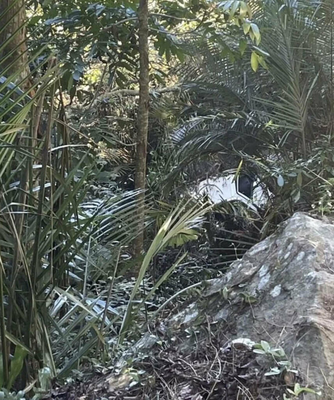 南投縣國姓鄉李姓男子今年10月初駕駛小貨車外出後失聯，小貨車23日在草屯鎮山茶巷下方溪谷被發現。警方表示，由於男屍面貌已難以辨認，雖車牌號碼相符，死者身分仍待檢方相驗確認。（民眾提供）中央社記者吳哲豪傳真　114年11月24日   