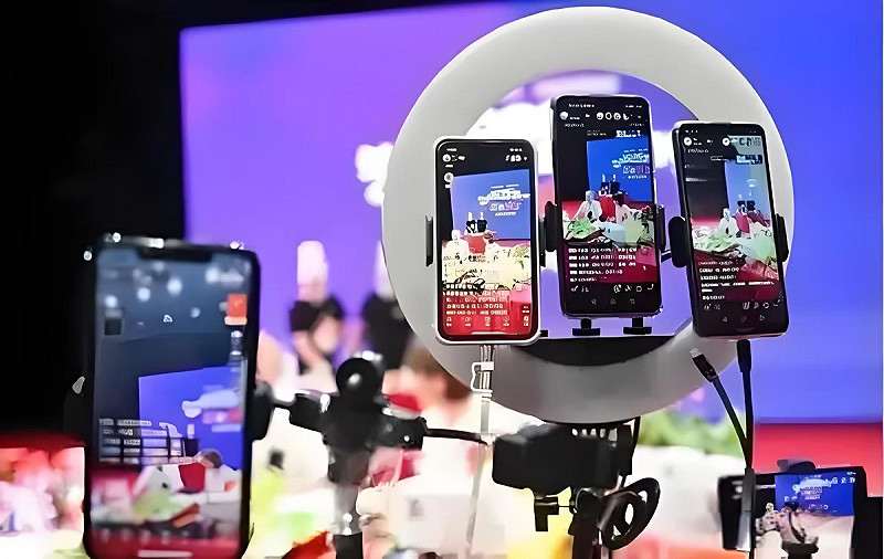 市場觀察者認為，麗晶國際的案例為直播產業的調整提供了清晰警示：高速增長的財富神話終將退潮，留存下來的將是真正有實力的業者。   圖:翻攝自東方財富網