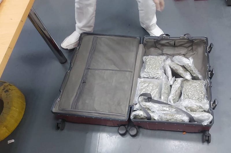 航空警察局與台北關攜手查獲販毒集團允諾負擔旅費，利用泰國籍女子來台假觀光真運毒，以行李箱夾藏毒品大麻花16.78公斤，調查後依毒品危害防制條例送桃園地檢署偵辦起訴。（航空警察局提供）中央社記者吳睿騏桃園傳真　114年12月3日   