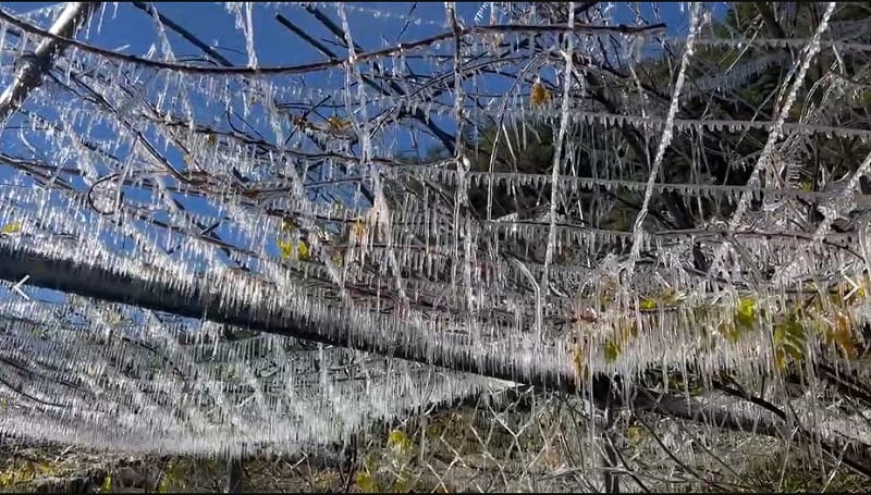 武陵農場壯觀的「冰晶簾」。   圖/武陵農場提供