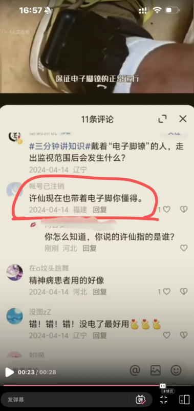 年4月某個帳號已經被註銷的網友，在疑似介紹電子腳鐐的影片底下留言，「許仙現在也戴著電子腳你懂得」。   圖：翻攝自網路