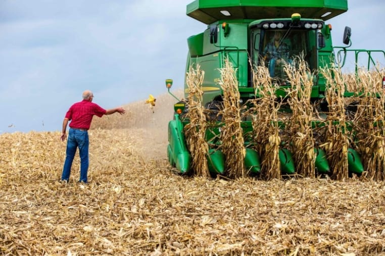 美國德州的農民缺水耕種,恐影響共和黨選情。 圖 : AFP 美國德州的農民缺水耕種,恐影響共和黨選情。 圖 : AFP