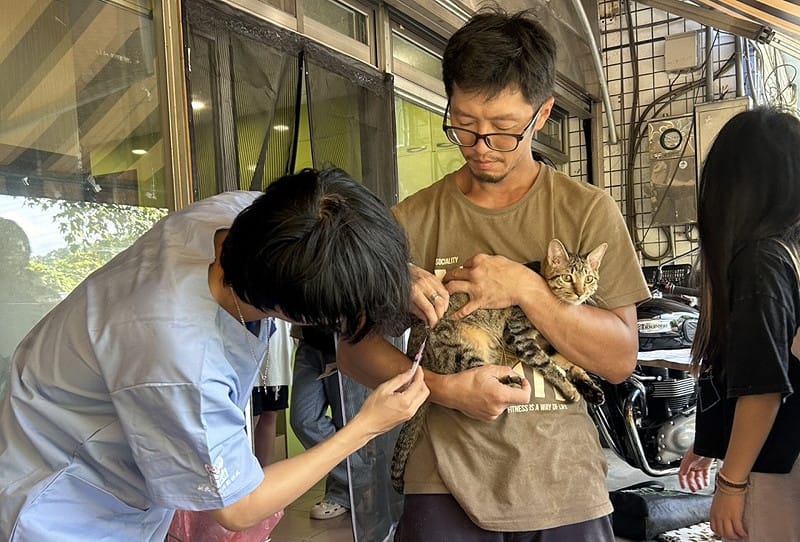 寵物植入晶片並完成寵物登記後，就不怕走失回不了家。   圖：新北市動保處／提供