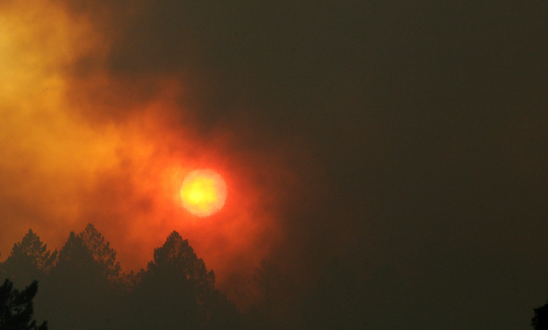 加州森林大火不斷延燒，濃煙遮蔽了整個天空。   圖：達志影像/美聯社