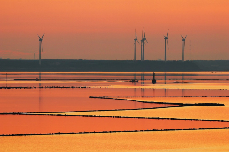 劉武漢以澎湖湖西鄉拍攝的「風車與潮間帶」作品獲電力組銀獎，希望能展現風力發電與環境的共存共榮。   圖：台電公司提供