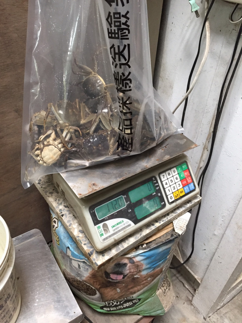 農委會藥物毒物所檢驗的大閘蟹。   圖 : 台中市政府/提供
