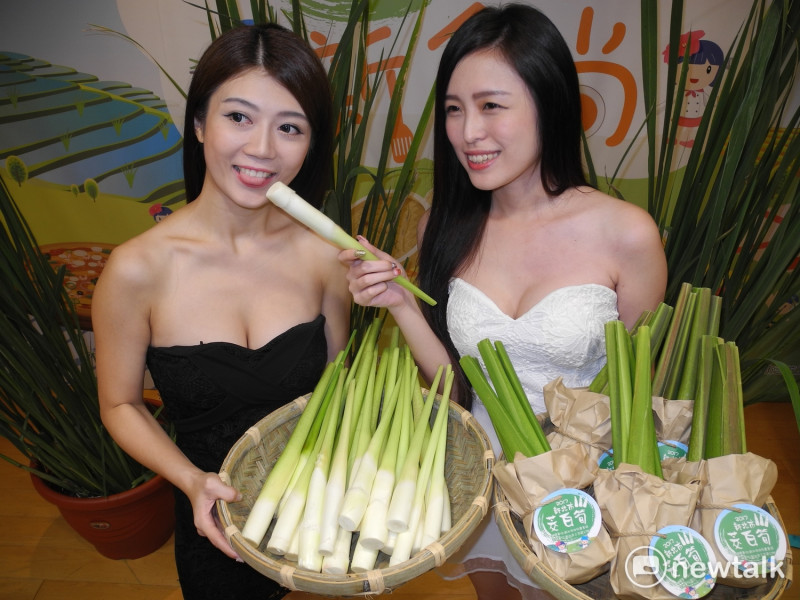 又名「美人腿」的三芝茭白筍，熱量低、纖維多、甜嫩多汁，含豐富維生素A、C及鉀，是非常爽口的健康蔬菜、不錯的減肥食材。          圖：王峻昌/攝