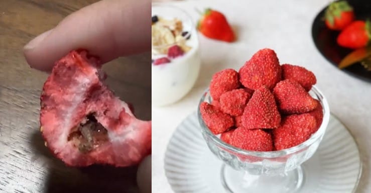 民眾購買美式賣場販售的義美草莓凍乾，發現其草莓內有完整小蟲。   圖：翻攝畫面