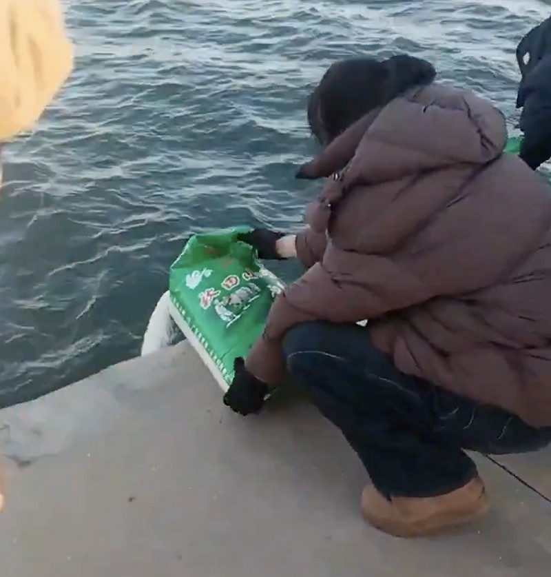 中國此前就曾出現過其他民眾會在江邊放生白米。   圖：翻攝自 X @zuilizhishier