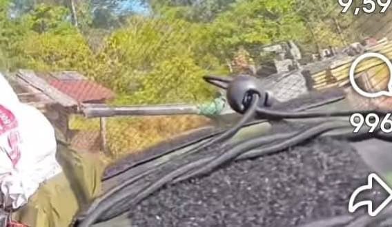 另一角度的照片。&nbsp;&nbsp;&nbsp;圖：翻攝自 X《简中圈外·热点分享》