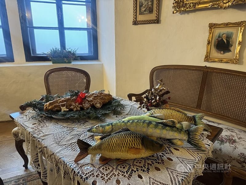 捷克知名的「施特恩貝克城堡」推出耶誕導覽行程，介紹百年前貴族的耶誕節生活樣貌。導覽員Vladimír表示，雖然現代捷克家庭多以鯉魚作為耶誕主菜，但過去一位施特恩貝克家族的伯爵不喜歡鯉魚，因此以「狗魚」（štika）替代。&nbsp;&nbsp;&nbsp;圖：中央社提供/劉郁葶中波希米亞攝