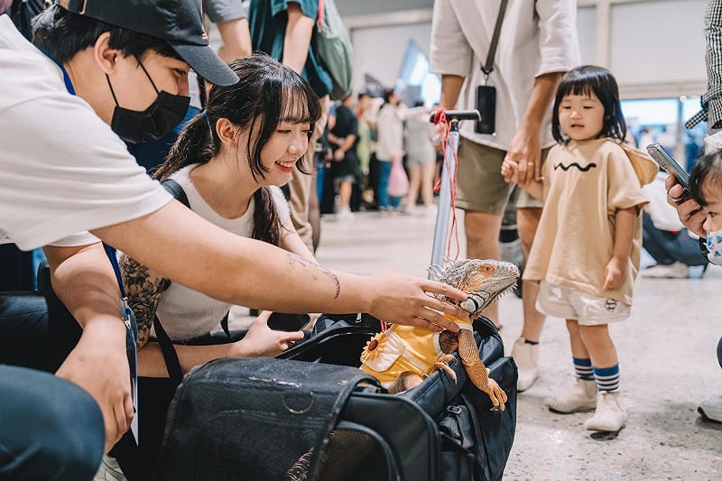 2023年受補助青創業者「緣起國際貿易有限公司」參與「2023台灣兩棲爬蟲博覽會」。&nbsp;&nbsp;&nbsp;圖：高雄市青年局/提供