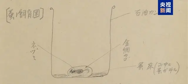 加藤恆則筆供中的跳蚤飼養裝置示意圖。 圖：翻攝自 央視新聞 