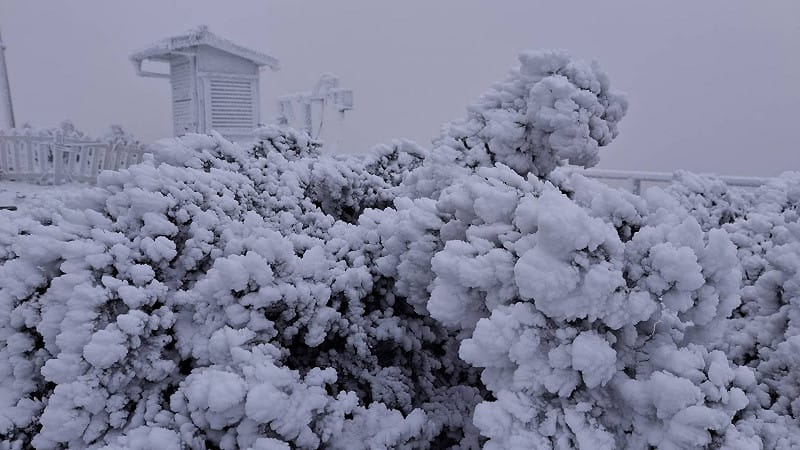 玉山於6時前雪停，積雪深1.5公分。&nbsp;&nbsp;&nbsp;圖：氣象署／提供