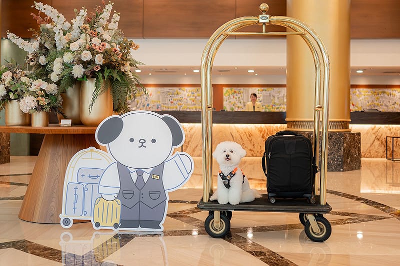 全國大飯店今年暑假啟用寵物友善樓層。&nbsp;&nbsp;&nbsp;圖：全國大飯店／提供