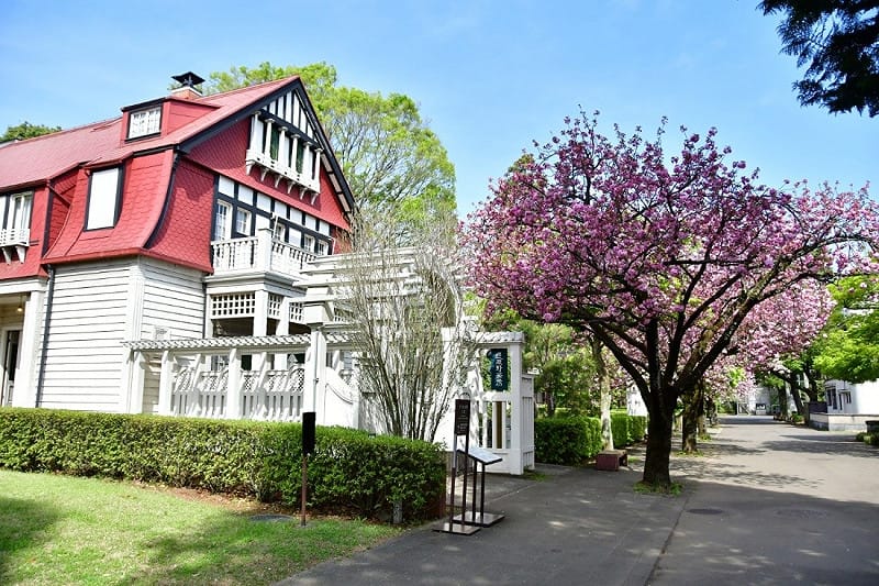 江戶東京建築園春櫻一景。照片中的建築原為平房洋館，約在1910年，由德國建築師Georg de Lalande進行大規模改建，增建為三層樓。優雅的洋館外觀與櫻花映襯，展現江戶至昭和時代生活的典雅風情。&nbsp;&nbsp;&nbsp;圖：江戶東京建築園 / 提供
