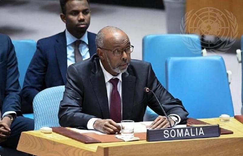 索馬利亞駐聯合國大使也被捲入詐騙爭議。&nbsp;&nbsp;&nbsp;圖 : 翻攝自 X / Libs of TikTok
