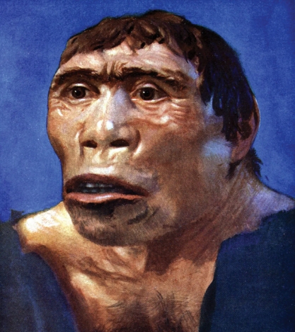  杜布瓦（Eugène Dubois）所提出的爪哇猿人主張。 圖 : 翻攝自Britanica 