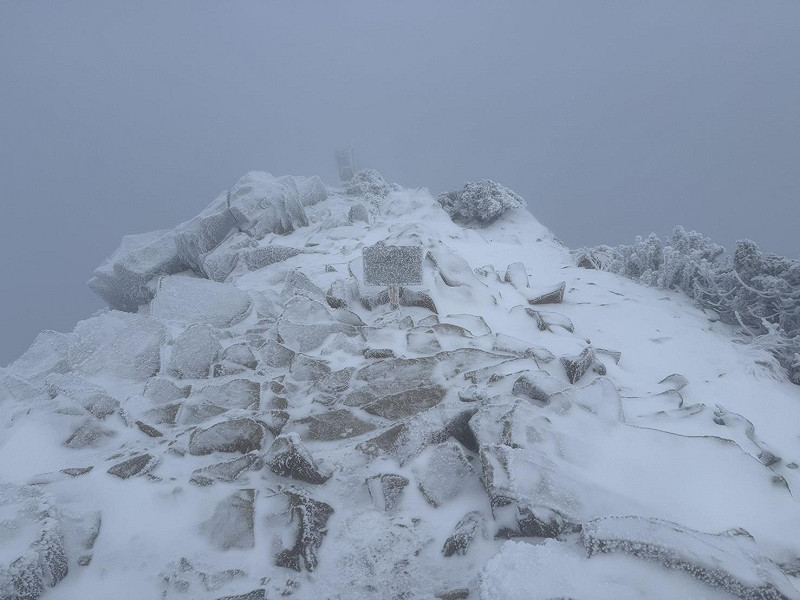 清晨6時起觀測，目前持續降雪。&nbsp;&nbsp;&nbsp;圖：中央氣象署提供