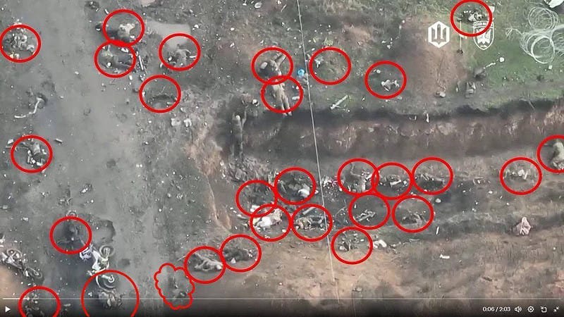 ����ʬ���Ұ�����ع�