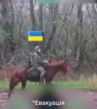 烏軍擊退了俄軍騎兵部隊，並繳獲兩匹戰馬。&nbsp;&nbsp;&nbsp;圖：翻攝自 @bayraktar_1love X 帳號