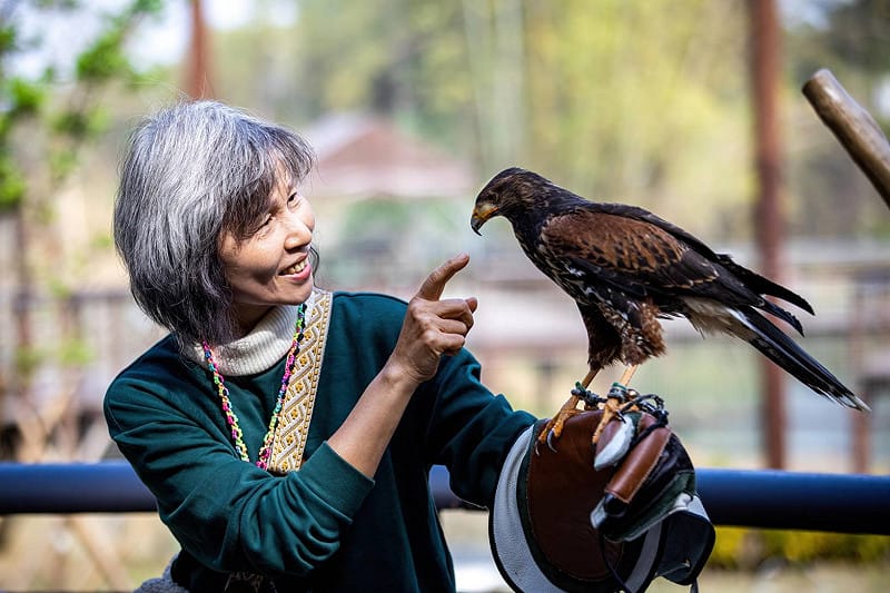 遊客與哈里斯鷹互動。&nbsp;&nbsp;&nbsp;圖：高雄市觀光局/提供