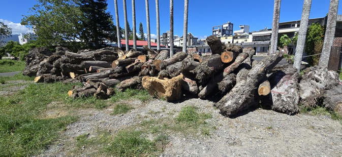 不法集團伺機取走貴重漂流木變賣。&nbsp;&nbsp;&nbsp;圖：宜蘭地方檢察署/提供