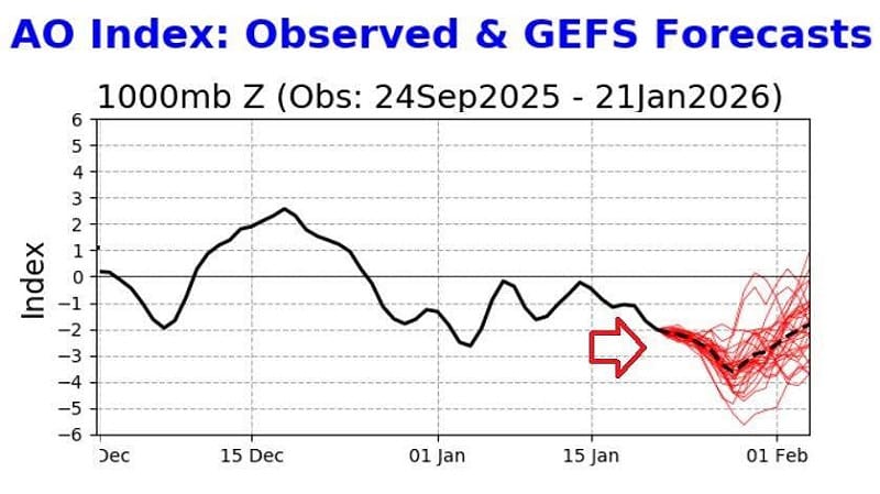 前中央氣象署長鄭明典指出,目前大氣已出現顯著的「負北極振盪」訊號。 圖:取自 鄭明典 FB 前中央氣象署長鄭明典指出,目前大氣已出現顯著的「負北極振盪」訊號。 圖:取自 鄭明典 FB