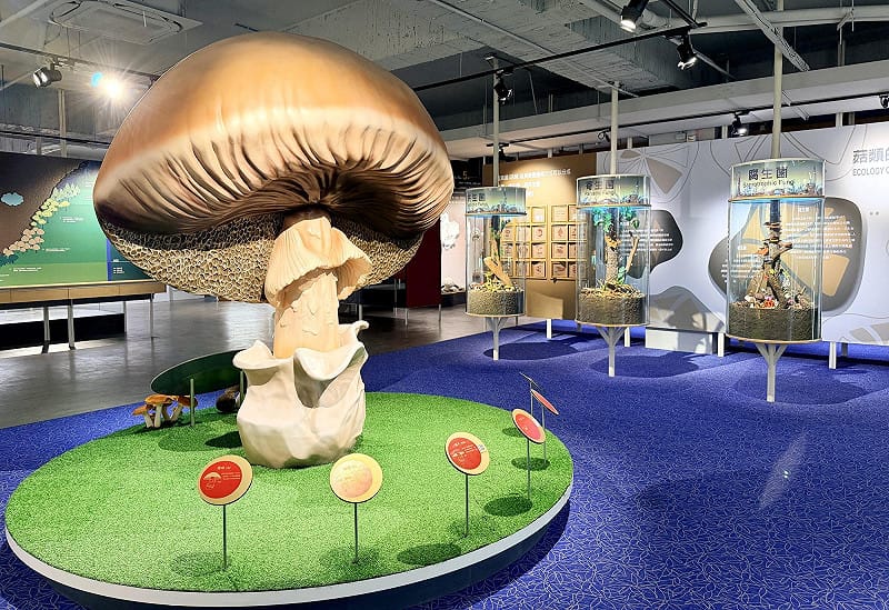 霧峰菇類產學館。&nbsp;&nbsp;&nbsp;圖：霧峰區農會/提供