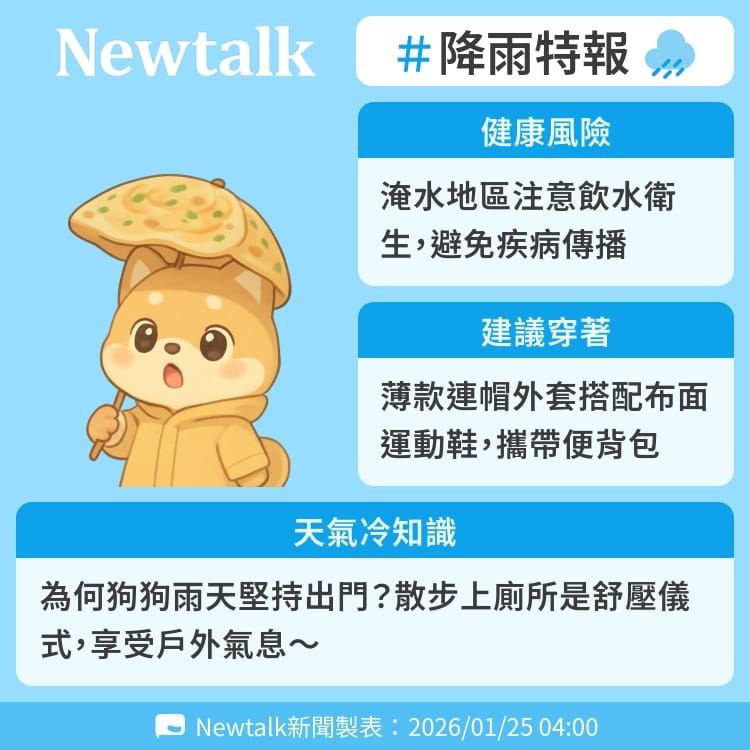 為何狗狗雨天堅持出門？散步上廁所是舒壓儀式，享受戶外氣息～ 圖：Newtalk製表&nbsp;&nbsp;&nbsp;
