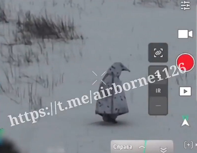 俄羅斯士兵為了在白雪皚皚的戰場上混淆無人機判斷,竟然將自己「扮成企鵝」試圖逃脫。 圖:翻攝自 X 俄羅斯士兵為了在白雪皚皚的戰場上混淆無人機判斷,竟然將自己「扮成企鵝」試圖逃脫。 圖:翻攝自 X