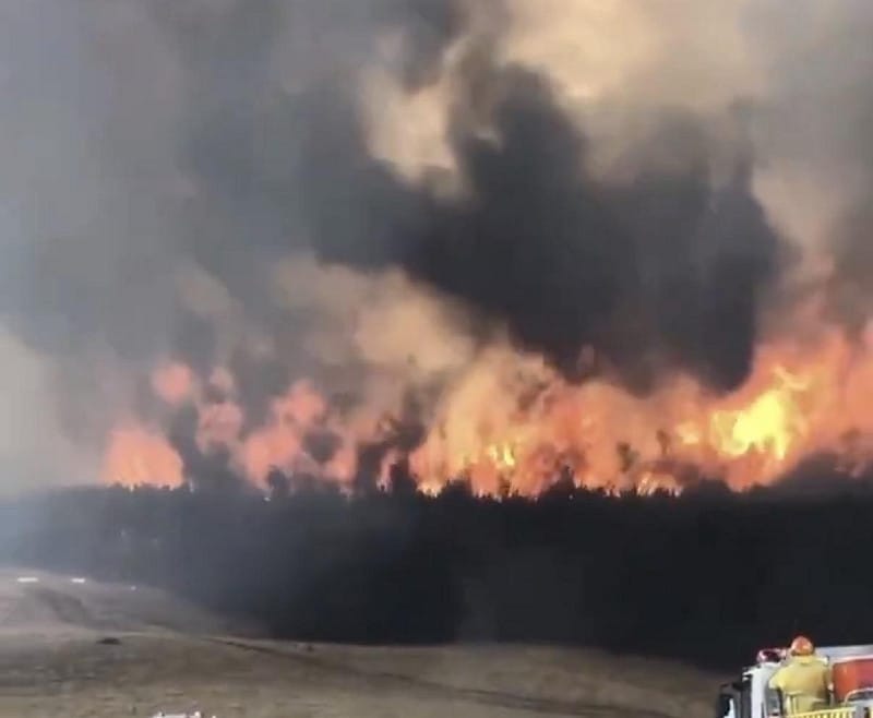  極端高溫不僅讓電網崩潰、超過 10 萬戶斷電，更引發毀滅性野火。居民稱，他們 2,000 英畝的農場已九成化為灰燼，無數牲畜在火海中喪生。 圖：翻攝自 X 