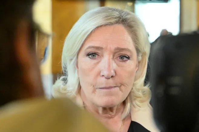  法國極右翼政黨「國民聯盟」主席勒龐也出現在相關文件中，被指控其家族與俄羅斯資助的海外資產有關。 圖：翻攝自 @PamphletsY X 帳號 