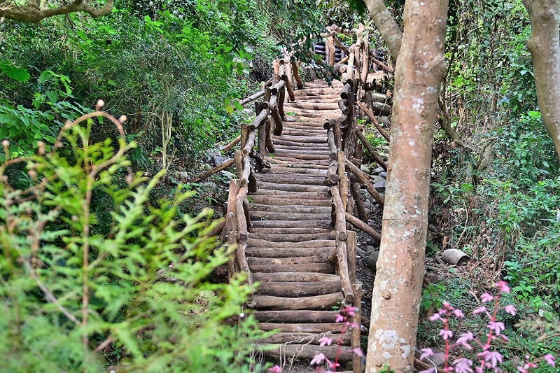 3-1號步道鳥語花香。&nbsp;&nbsp;&nbsp;圖：台中市政府/提供