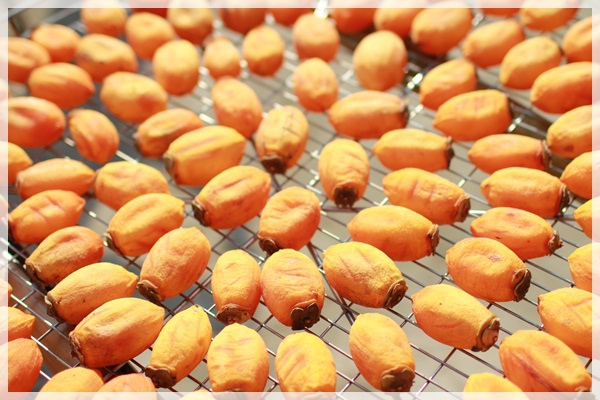 新埔鎮所生產的柿餅無論是品質、口感或色澤均極受消費者喜愛與肯定。圖為日曬柿餅。   圖：新埔鎮農會/提供