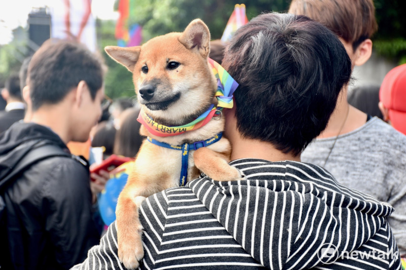 第15屆台灣同志遊行，許多民眾攜帶自己的愛犬一同參與遊行，十分吸睛。   圖：黃堃睿/提供