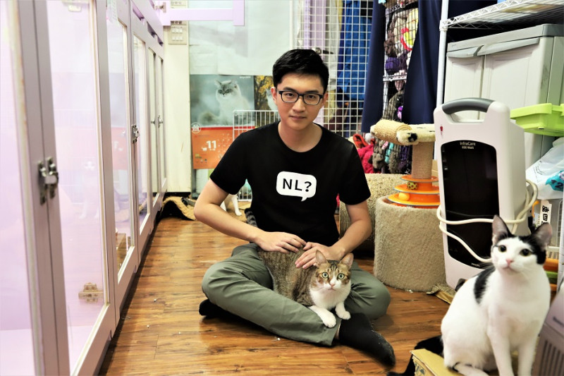 毒奶武士超負荷本週被抓進台北市流浪貓保護協會，為眾多貓咪服務一天。   圖：朱泓任/攝