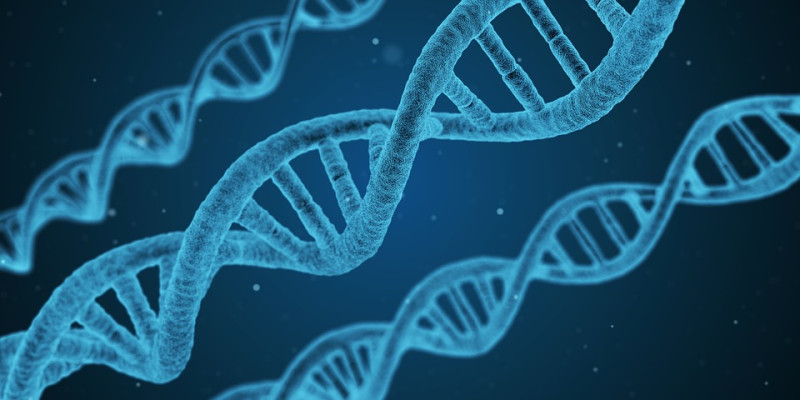 如果能從基因上修復先天缺陷，將會造福許多擁有先天疾病的人，而此研究只待下一步的臨床實驗。   圖：Pixabay/提供