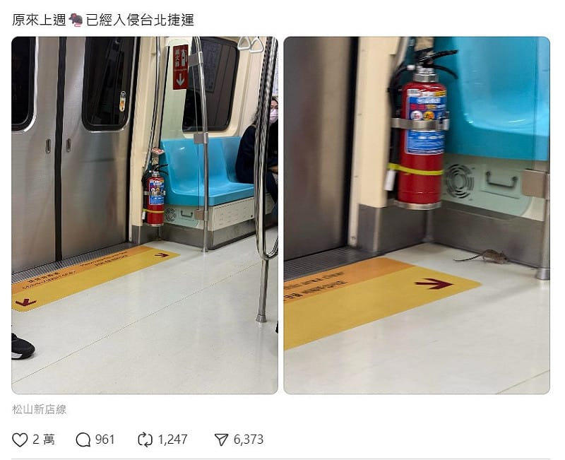 近日有網友在Threads上PO出，老鼠在北捷車廂亂竄的畫面。&nbsp;&nbsp;&nbsp;圖：取自kyeh318 Threads