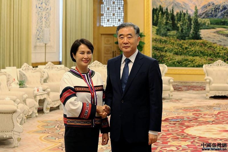  立委高金素梅於 2019 年赴中與時任全國政協主席汪洋會面。 圖：翻攝自中國台灣網 