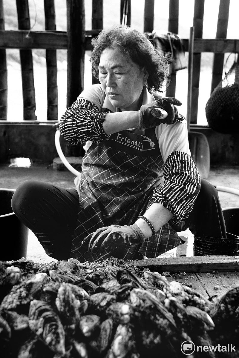  陳玉金在南竿介壽獅子市場賣自家水產後，趕回去芙蓉澳淡菜養殖區，繼續砍除附著在淡菜外殼的藤壺。她用力揮刀工作，也直接用菜刀刀面按摩上手臂，但是她、疲憊的神情中仍流露出馬祖婦女堅韌刻苦的性格。 圖：張良一/攝 