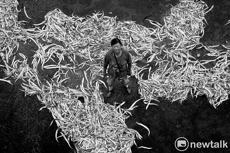  北竿橋仔村民王水蓮，在碼頭挑魚，也在附近討拓，她同時賣船票還有給梅花鹿吃的桑葉。王水蓮，一如其他的馬祖婦女總是身兼數職，在太陽下、在寒風中辛苦工作，供養一家老小生活之所需，歲月也在她的臉上刻下風霜與滄桑。 圖：張良一/攝 