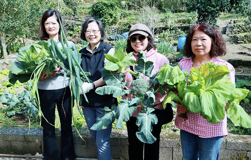  蔡英文跟鄰居們快樂拔菜並互道新年快樂。 圖：蔡英文辦公室提供 
