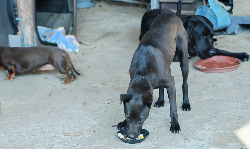 這些也都是。&nbsp;&nbsp;&nbsp;圖：蔡英文辦公室提供